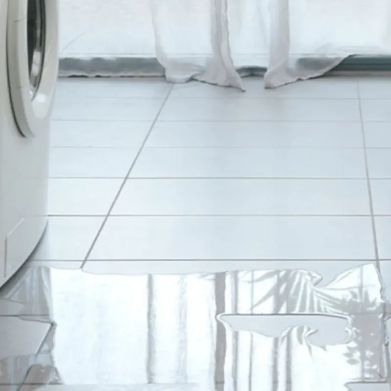 Appliance Leak Cleanup in Shoreline, WA