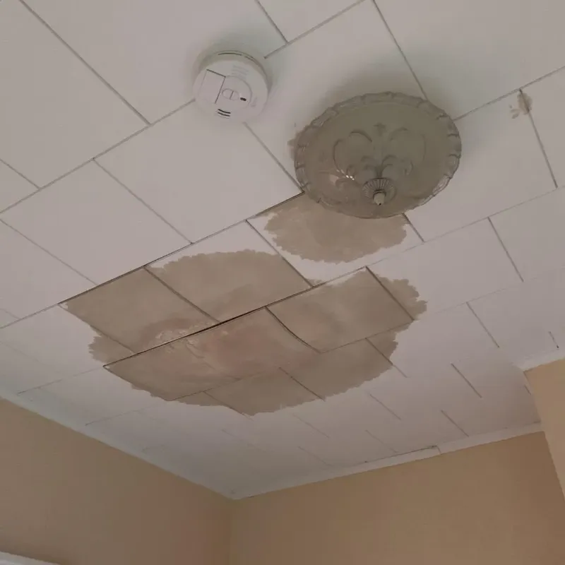 Ceiling Water Damage Repair in Shoreline, WA
